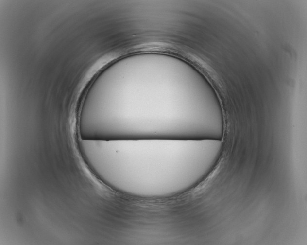 X0000111141418200906301008