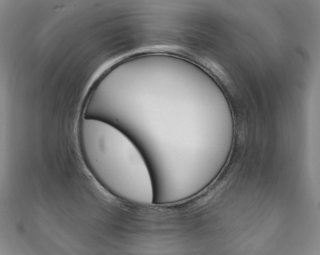 X0000111141420200906301008