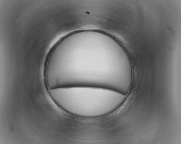 X0000111141422200906301008