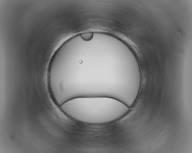 X0000111141423200906301008