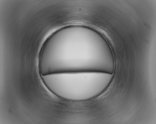 X0000111141424200906301008