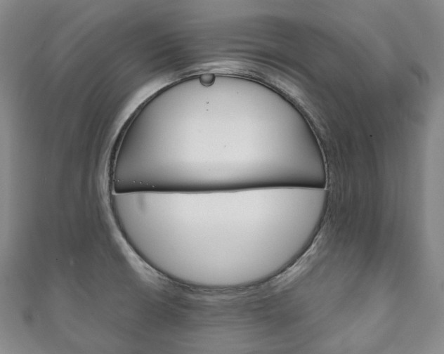 X0000111141426200906301008