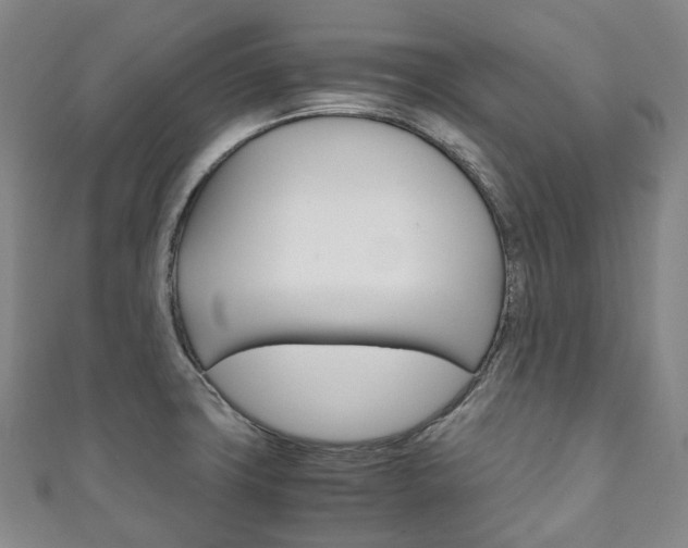 X0000111141427200906301008