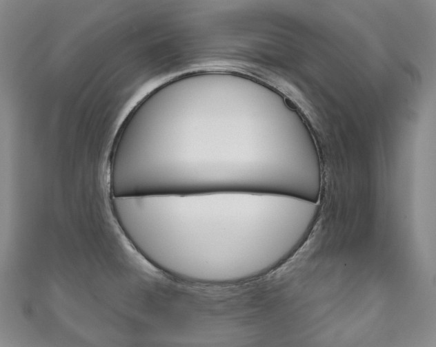 X0000111141428200906301008