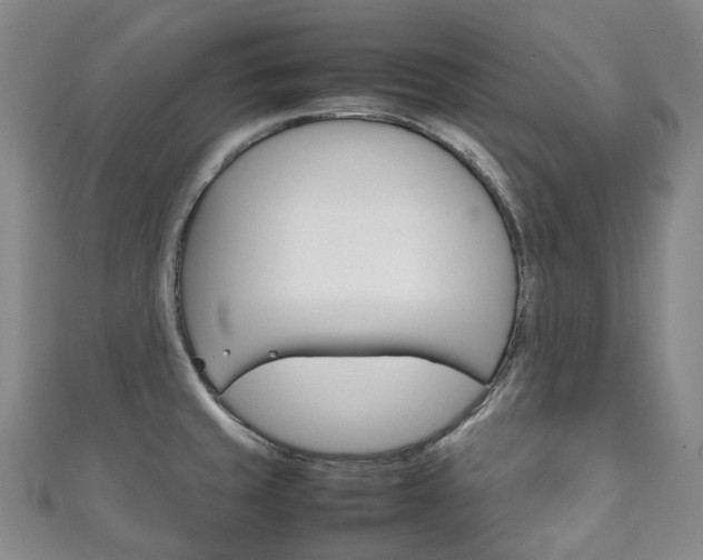 X0000111141429200906301008