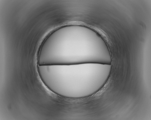 X0000111141430200906301008