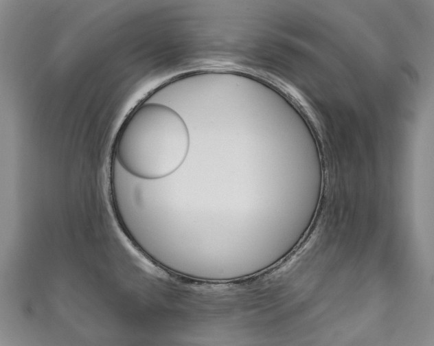 X0000111141432200906301008