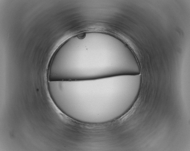 X0000111141434200906301008