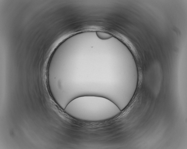 X0000111141435200906301008