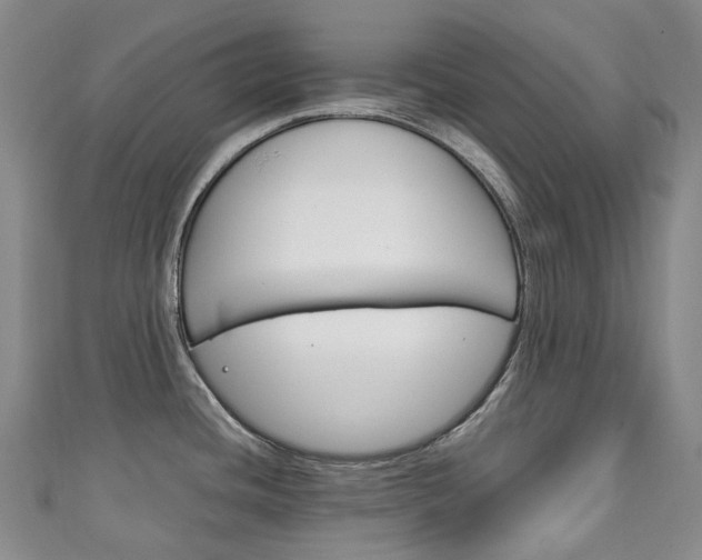 X0000111141436200906301008