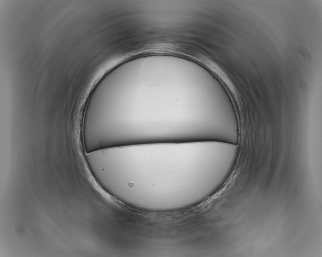 X0000111141437200906301008