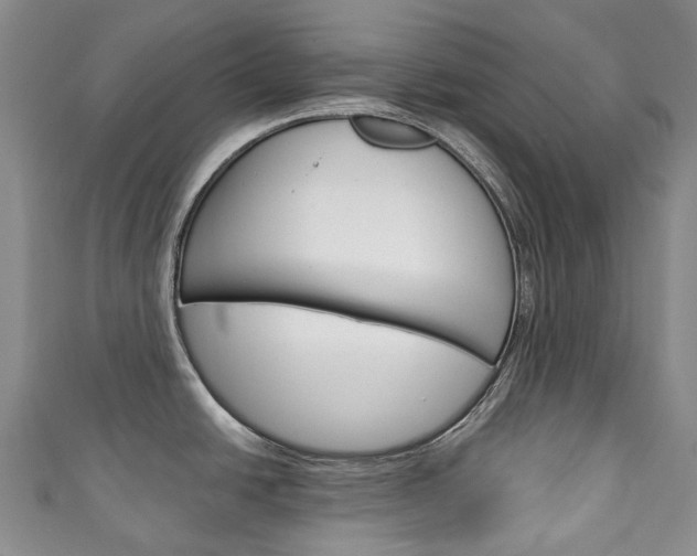 X0000111141438200906301008