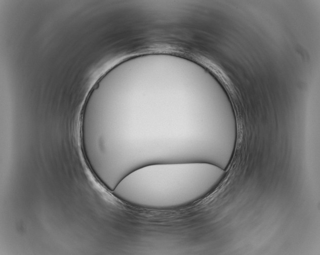 X0000111141439200906301008