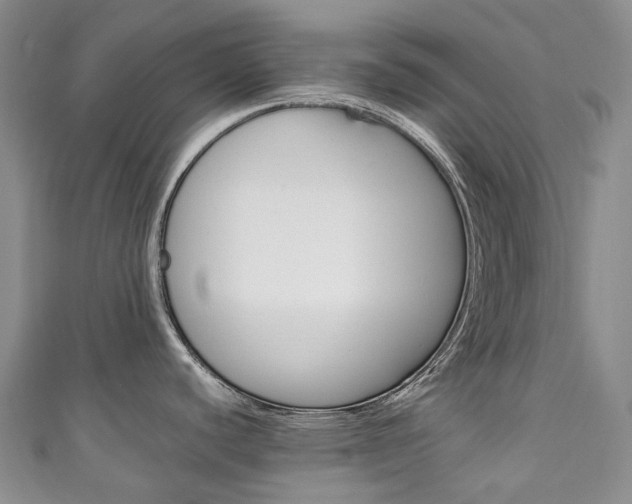 X0000111141440200906301008