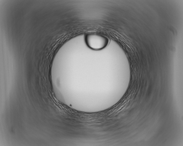 X0000111141441200906301007
