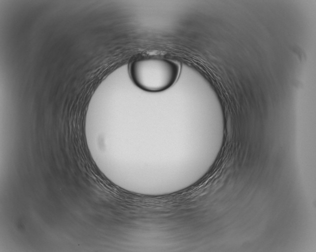 X0000111141443200906301007