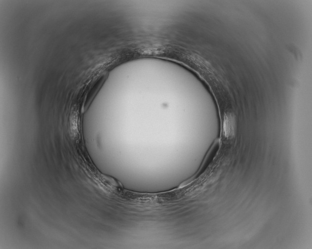 X0000111141444200906301007