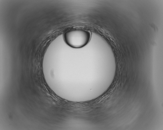 X0000111141445200906301007