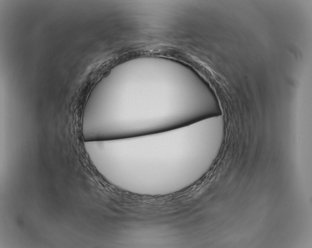 X0000111141447200906301007