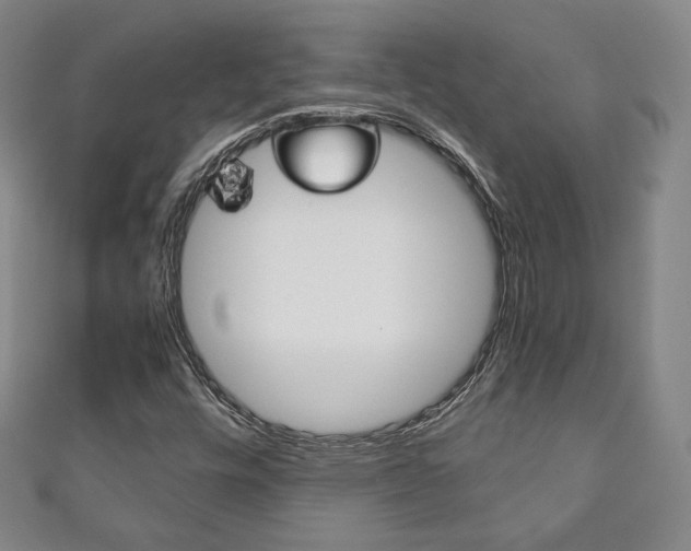 X0000111141448200906301007