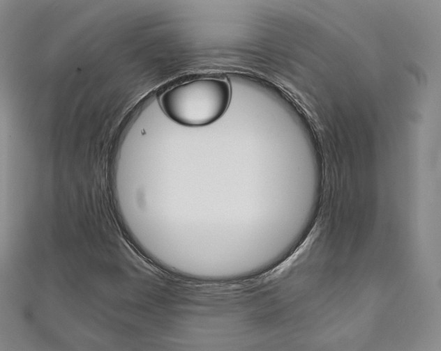 X0000111141449200906301007