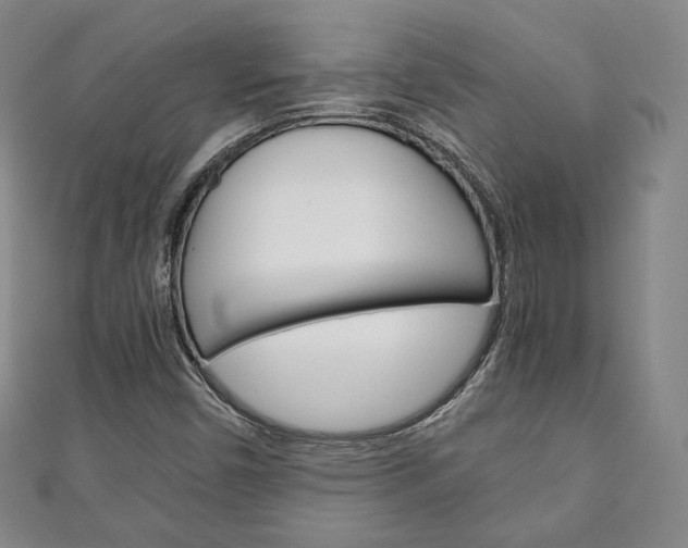 X0000111141450200906301007