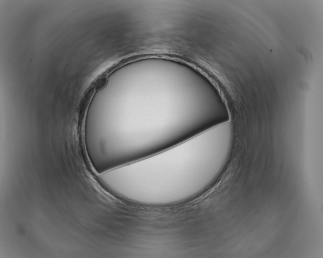 X0000111141452200906301007