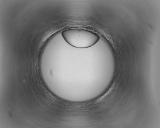 X0000111141453200906301007