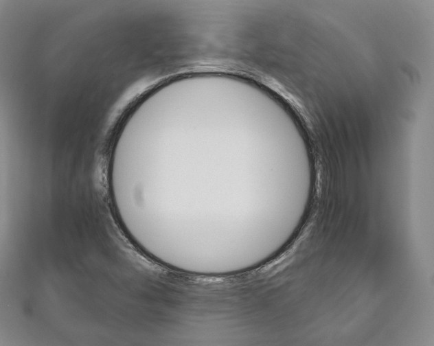 X0000111141454200906301007