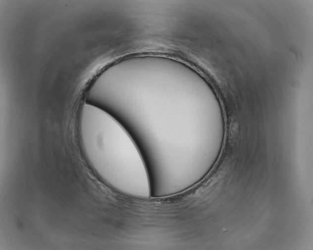 X0000111141455200906301007