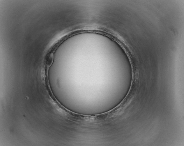 X0000111141456200906301007