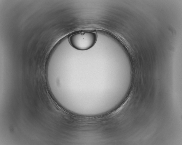 X0000111141457200906301007