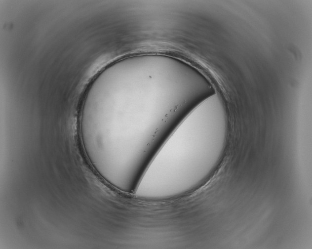 X0000111141459200906301007