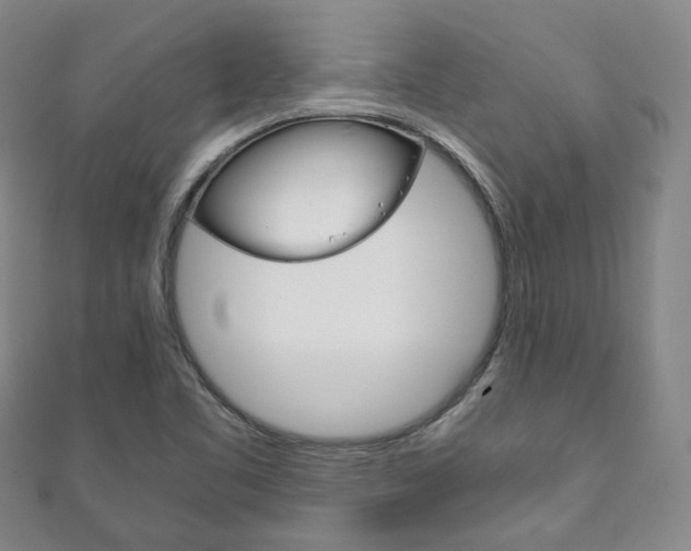 X0000111141461200906301007