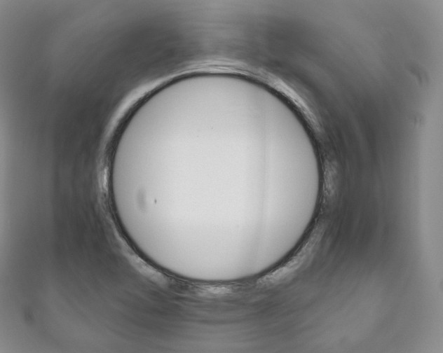 X0000111141462200906301007