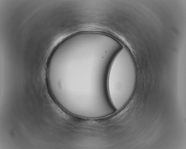 X0000111141463200906301007