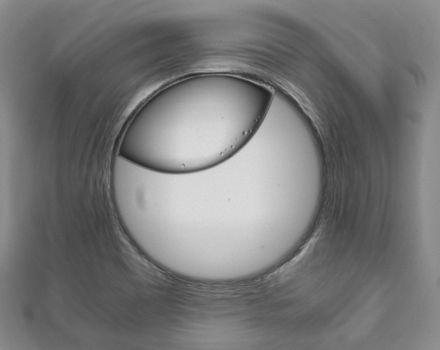 X0000111141465200906301007