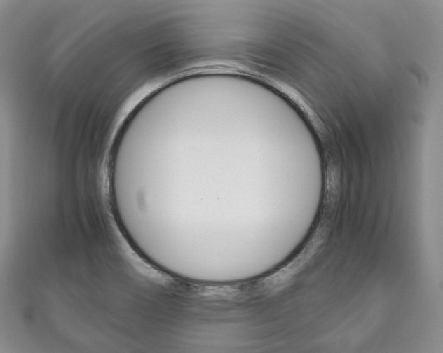 X0000111141466200906301007