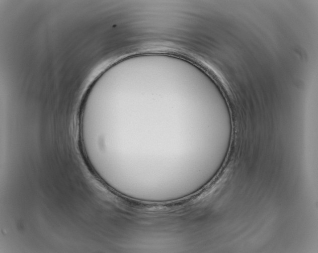 X0000111141467200906301007