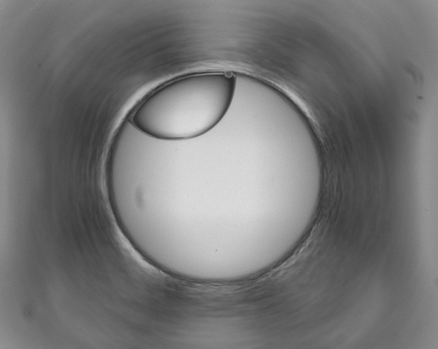 X0000111141468200906301007