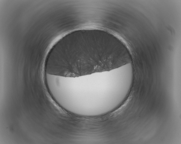 X0000111141469200906301007