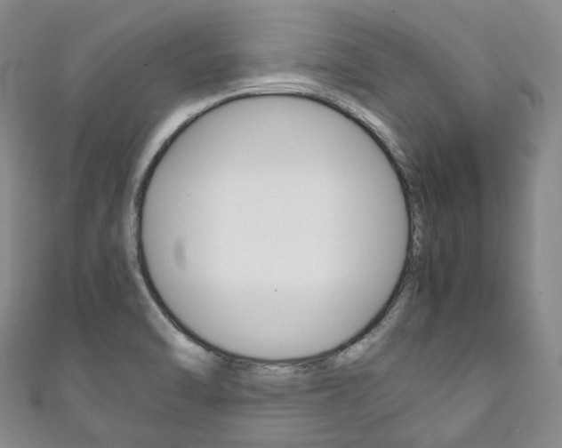 X0000111141470200906301007