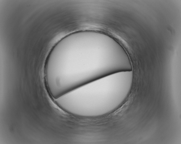 X0000111141471200906301007