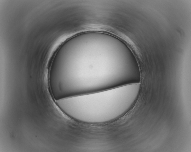 X0000111141472200906301007