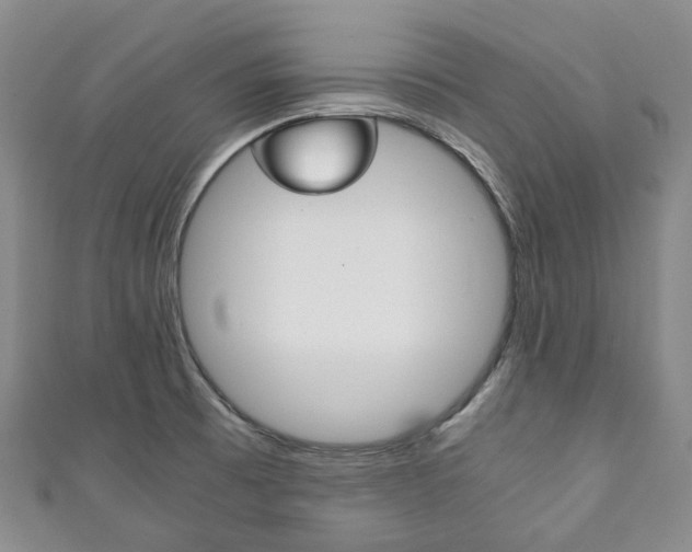 X0000111141473200906301007