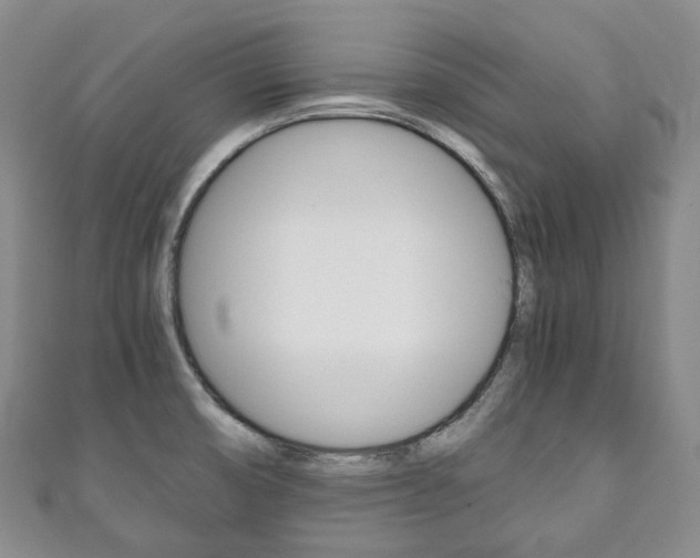 X0000111141474200906301007