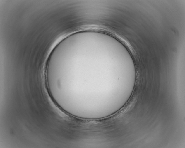 X0000111141475200906301007