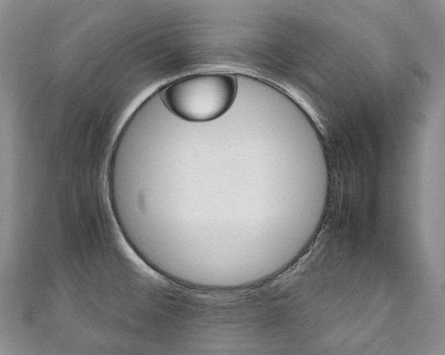 X0000111141476200906301007