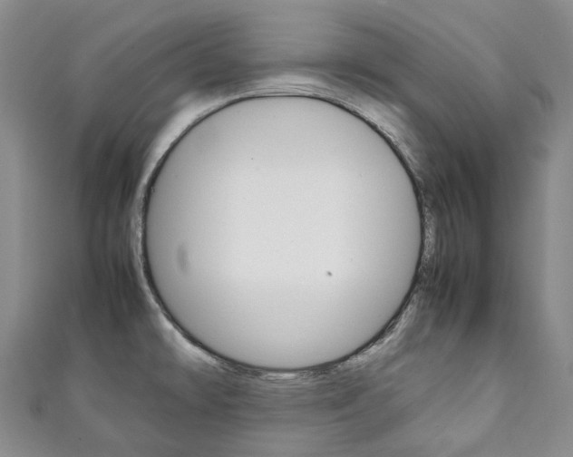 X0000111141478200906301007