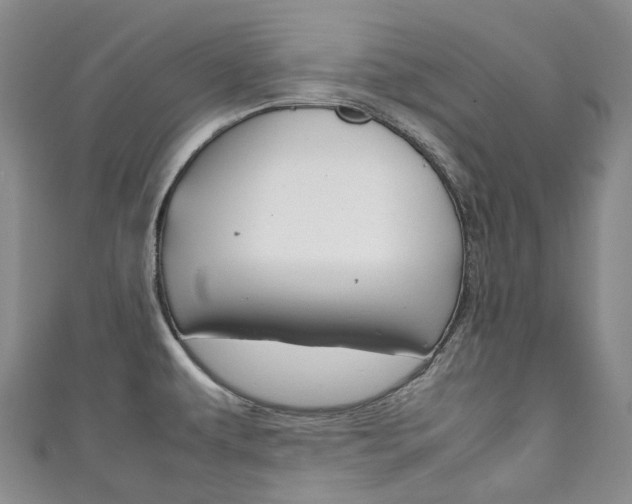 X0000111141479200906301007